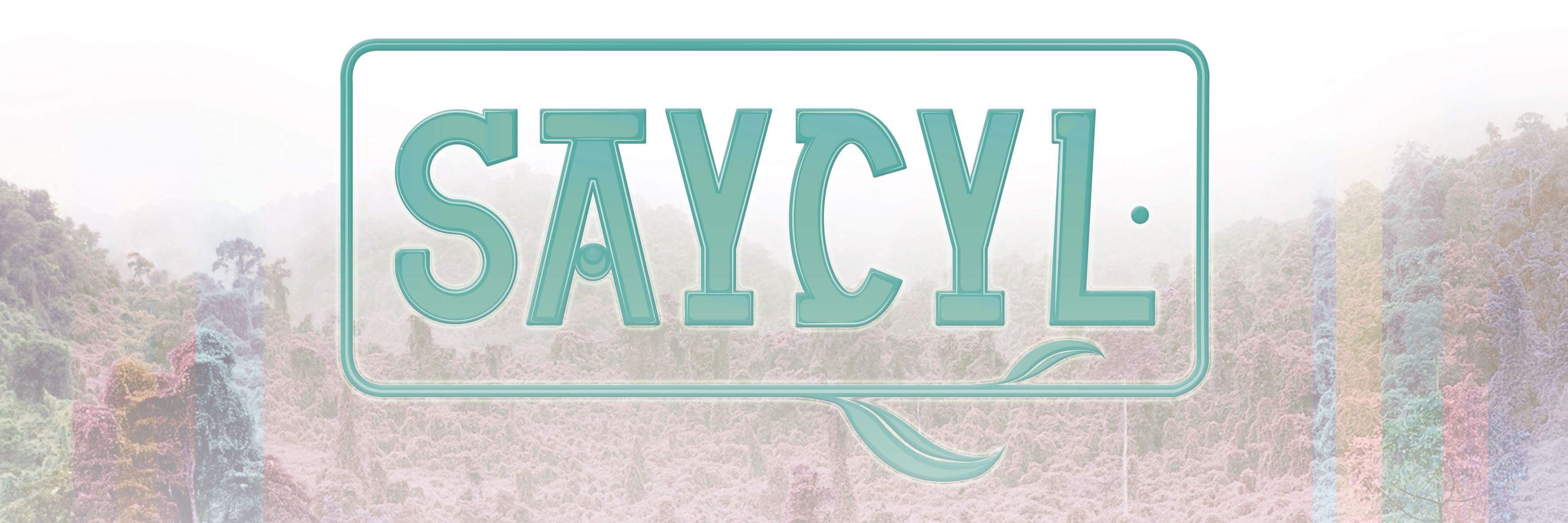 Saycyl, chanteuse, auteur-compositeur, guitariste
